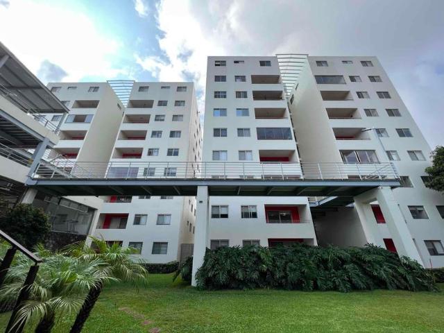 Departamento en renta Av. Emiliano Zapata 117, Tlaltenango, Cuernavaca, Morelos, México