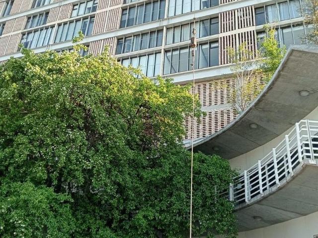 Departamento en renta Avenida Don Luis Garza Sada, Monterrey, Nuevo León, 64500, México