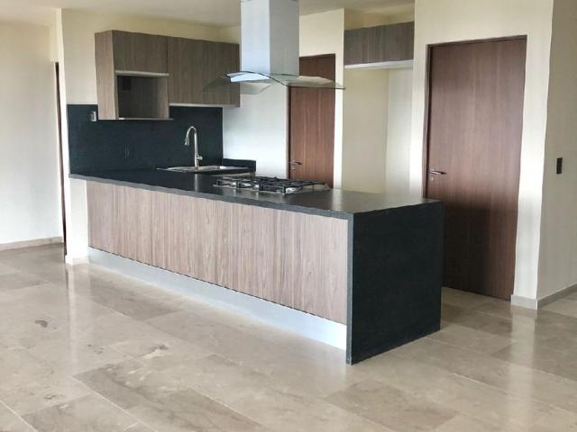 Departamento en renta Avenida Parque Chapultepec, Del Roble Residencial, San Luis Potosí, 78295, Mex