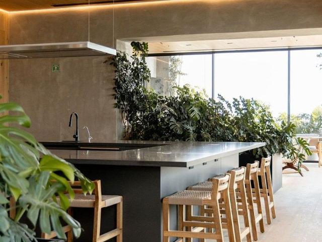 Departamento en renta Avenida Paseo De La Reforma, Juárez, Roma, Ciudad De México, Cuauhtémoc, Ciudad De México, 06600, México