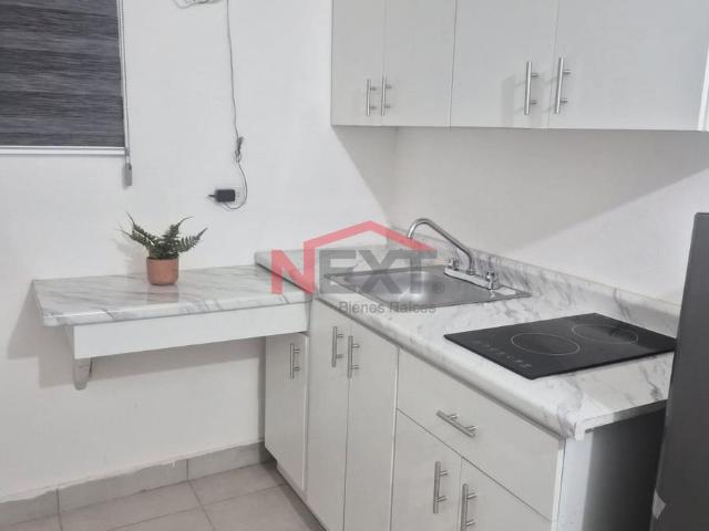 DEPARTAMENTO EN RENTA EN COL. OLIVARES