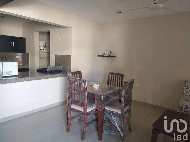 Departamento en Renta en Campestre, Mérida, Yucatán