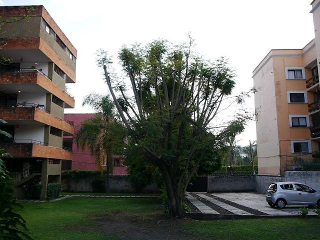Departamento en Renta, en céntrica ubicación, Cuernavaca Morelos