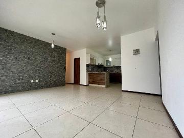 Departamento en Renta en Alto Horizonte con Terraza Privada