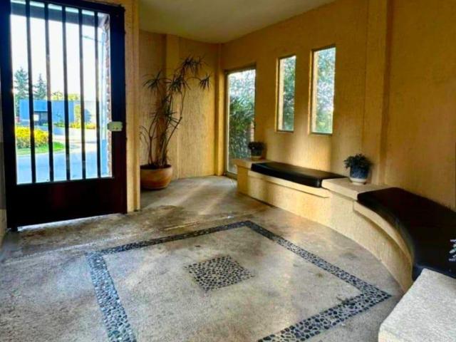 Departamento en Renta en Bosque Real