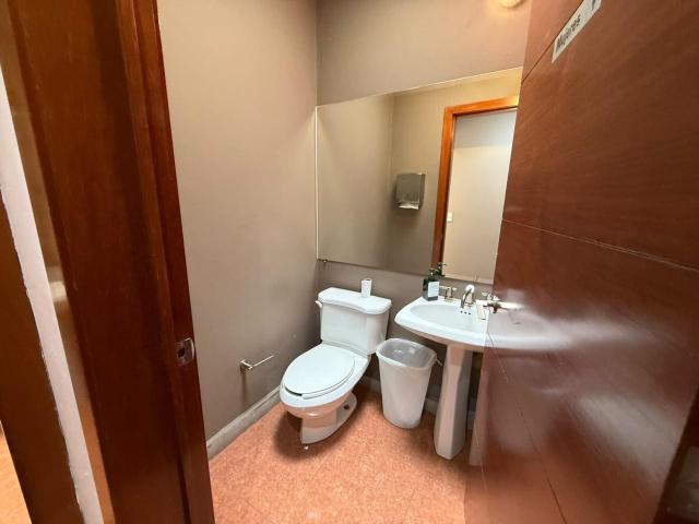 DEPARTAMENTO EN RENTA EN BOSQUE REAL