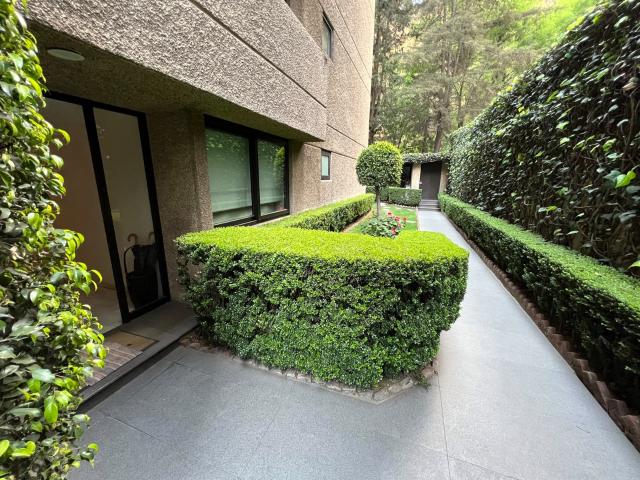 Departamento en renta en Bosques de las Lomas