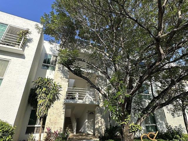 Departamento en renta en el centro de Cancún
