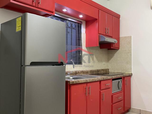 Departamento en Renta en Hermosillo, Luis Encinas