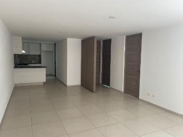 Avenida Teziutlán Norte, Paz PUEBLA, Puebla, Puebla