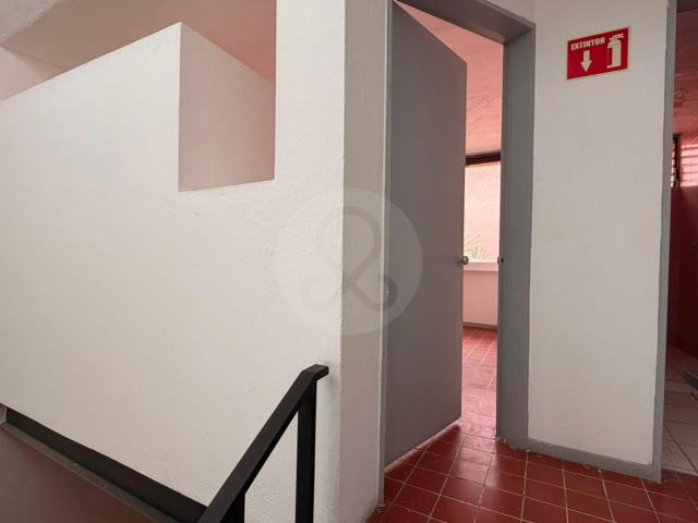 DEPARTAMENTO EN RENTA EN LAPIZLAZULI