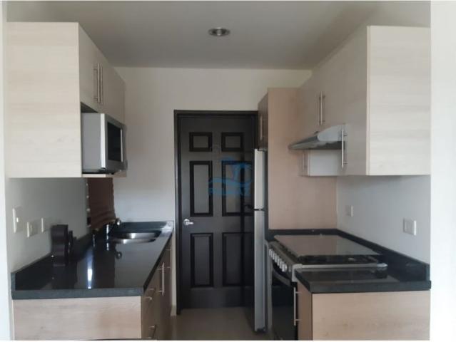DEPARTAMENTO EN RENTA EN MAZATLÁN, 2 RECS, PLANTA BAJA, ALBERCA COMÚN