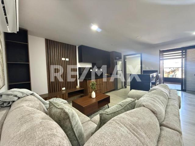 DEPARTAMENTO EN RENTA EN SAN ISIDRO