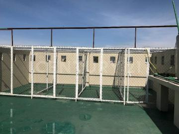 Departamento en Renta en San Lorenzo Tepaltitlán, Toluca, Estado de México
