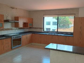 Departamento en Renta en Pulgas Pandas Norte