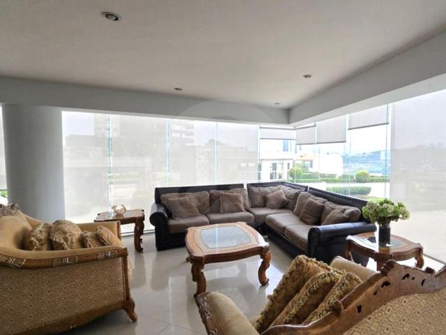 Departamento en renta en Punta Horizonte, Bosque Real