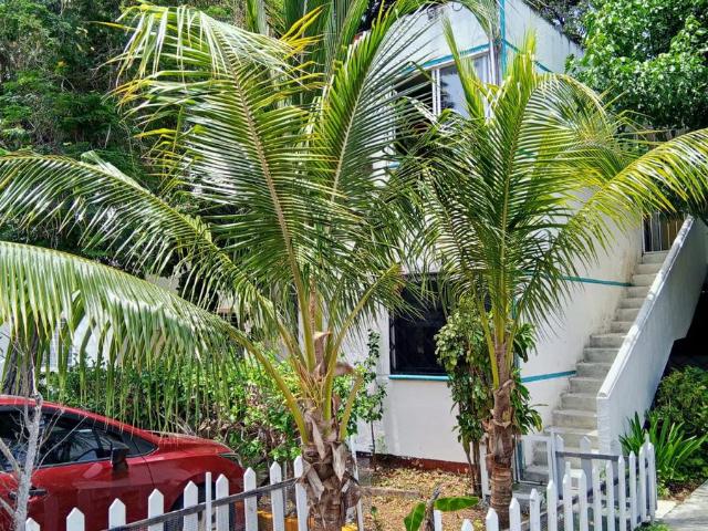Departamento en renta en Quintas del Sol, Canc?n ? Planta baja con jard?n