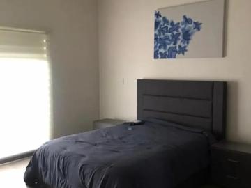 Departamento en Renta en Ramos Arizpe: Colonia del Valle