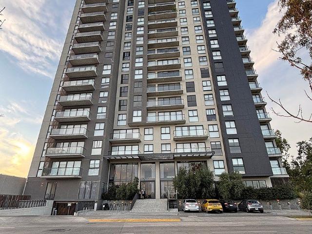 departamento en renta en torre del prado, av universidad