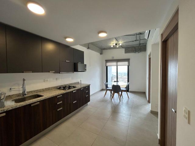 DEPARTAMENTO EN RENTA EN TORRE MITT