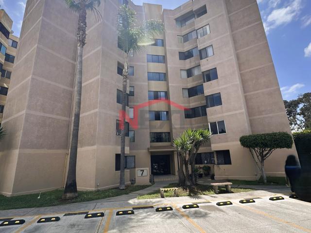 Departamento en Renta en Tijuana TODOS TIJUANA, Zona Urbana Río Tijuana,, 148.00 m2 terreno, 148.00 m2 construcción