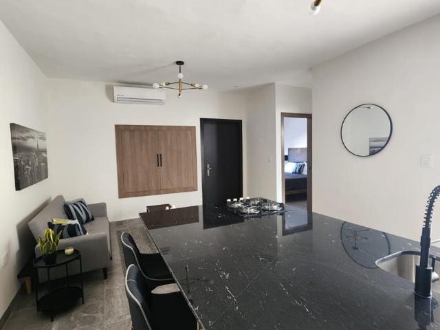 Departamento en Renta en Viñedos