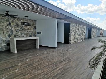 departamento en renta en zona norte en conkal. mérida