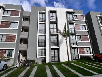 Departamento en renta Fausto Ortega 933, 72680 San Francisco Ocotlán, Pue México