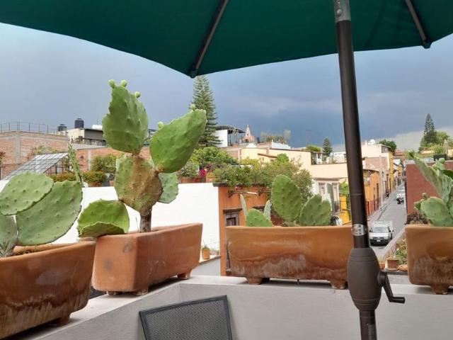 Departamento en renta Hernández Macías, Zona Centro, San Miguel De Allende, Guanajuato, México