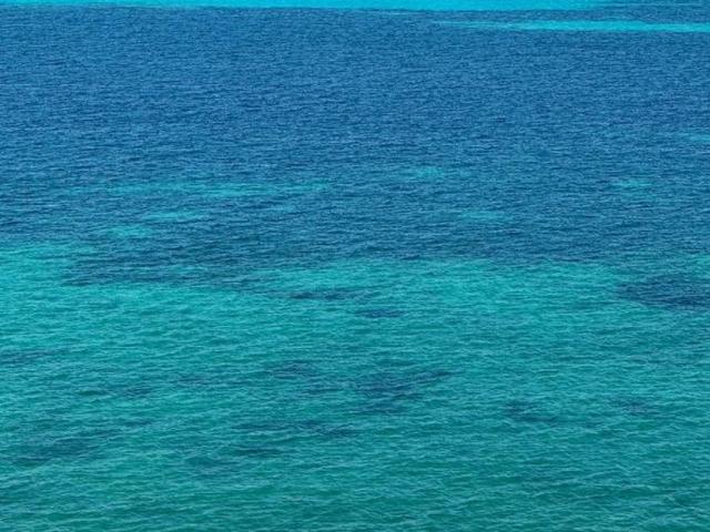 Departamento en renta Isla Blanca, Isla Mujeres