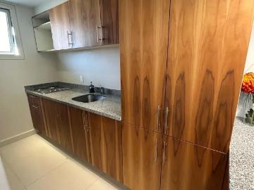 Departamento en Renta o Venta en Almicar Vidal – Con Terraza, Jardín y Cocina Equipada