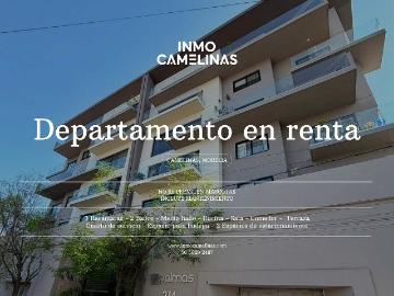 Calle Paloma Morelia, Ampl Torreon Nuevo, Morelia Michoacán, Michoacan de Ocampo
