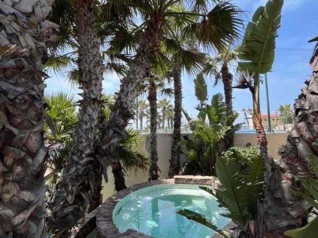 Departamento en renta Las Olas Grand, Calafia, Rosarito, Baja California, México