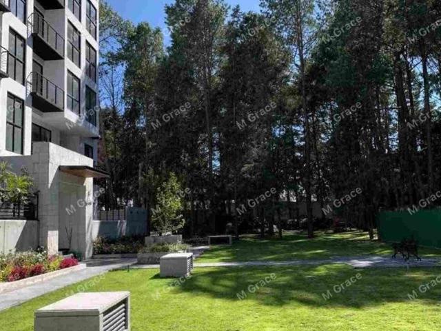 Departamento en renta Llano Grande, Metepec, Metepec