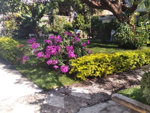 Departamento en renta Morelos, Cuernavaca, Morelos