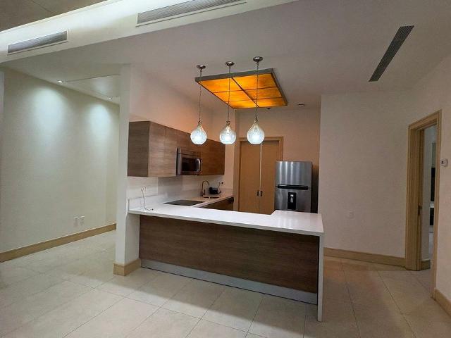 departamento en renta, metropolitan spgg