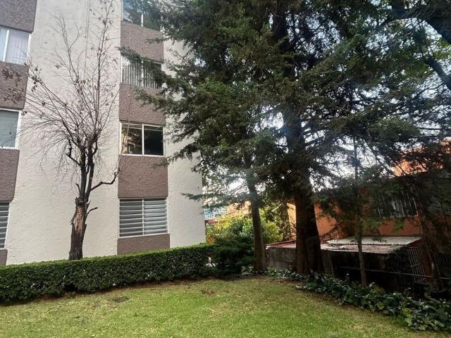 Departamento en renta Nogal, San José De Los Cedros, Ciudad De México, Cuajimalpa De Morelos, Ciudad De México, 05200, México