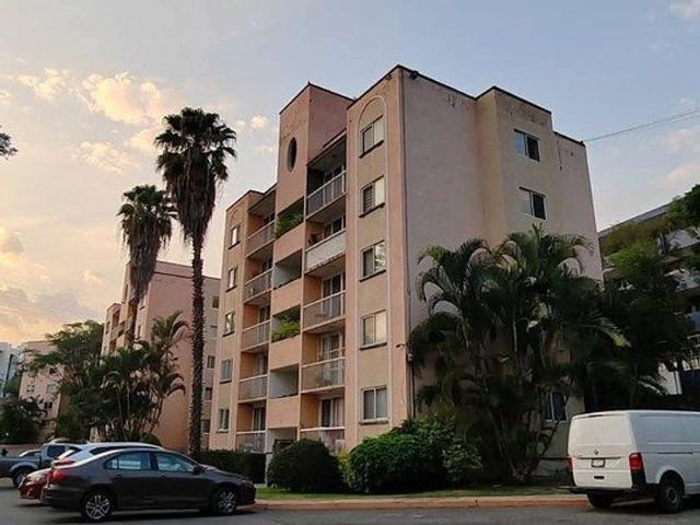 Departamento en renta Palmira Tinguindin, Cuernavaca, Morelos