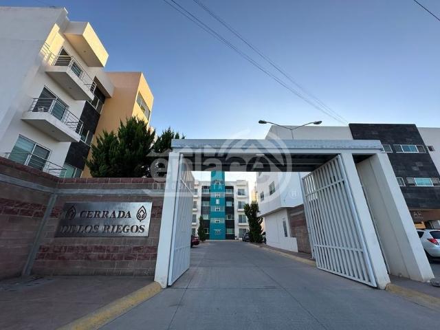 Departamento en renta Paseo De Las Alamedas, Campestre Las Jacarandas, Durango, 34106, Mex
