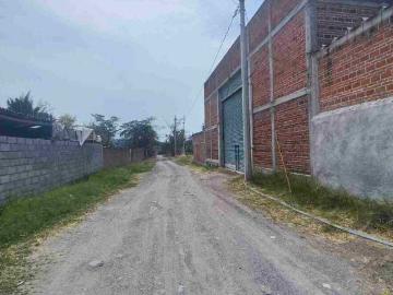 Departamento en renta Pedregal De Las Fuentes, Jiutepec, Morelos