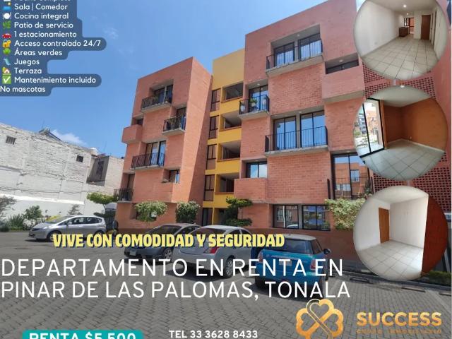Departamento en Renta – Pinar de las Palomas, Tonalá