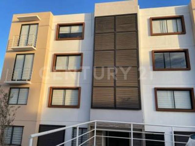 DEPARTAMENTO EN RENTA PLANTA BAJA EN PRIVADA CON ALBERCA LOMAS DE SAN ISIDRO