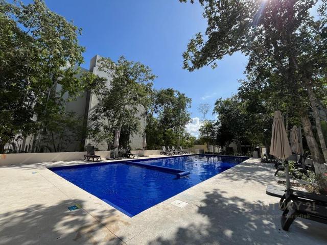 Departamento en renta Playa Del Carmen, Quintana Roo