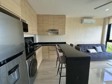 Departamento en renta Playa Del Carmen, Quintana Roo
