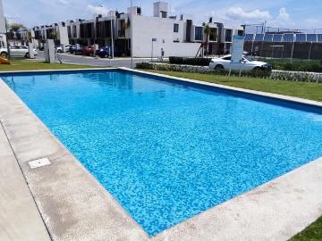 Departamento en renta Privada Camexia, San Francisco Ocotlán, Coronango, Puebla, 72680, Mex
