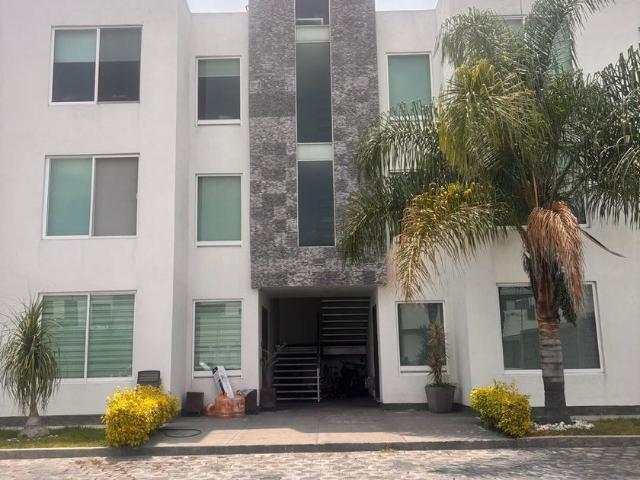 Departamento en renta Privada Gladiolas 20, Campestre Morillotla, San Andrés Cholula, Puebla, México