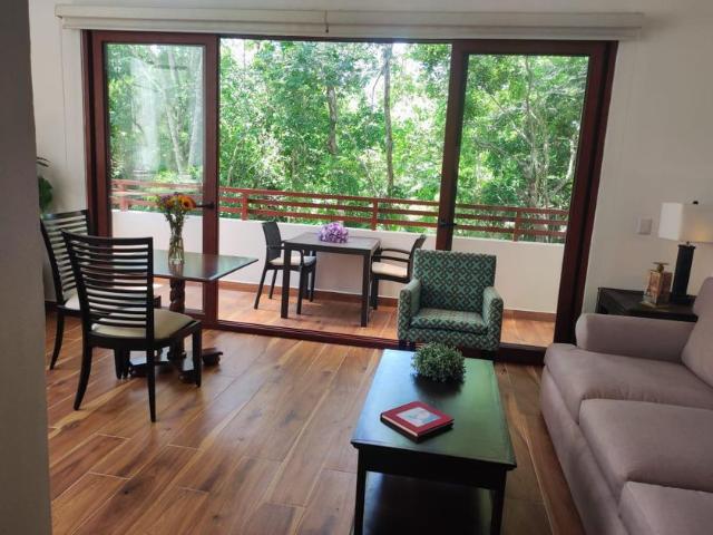 Departamento en renta Puerto Morelos, Quintana Roo, Quintana Roo