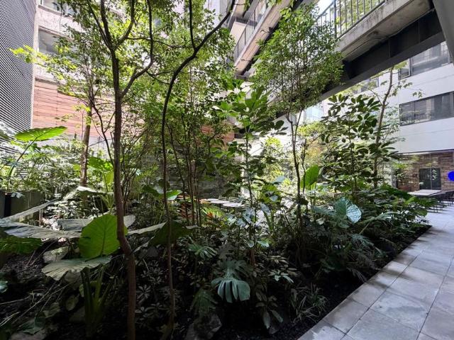 Departamento en renta Roma Norte, Cuauhtémoc, Cdmx