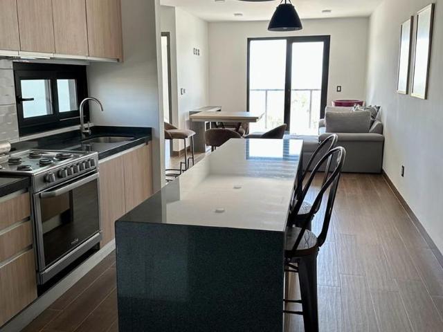 Departamento en renta Torre Del Parque Slp, Boulevard Antonio Rocha Cordero, Privadas Del Pedregal, Desarrollo Del Pedregal, San Luis Potosí, México
