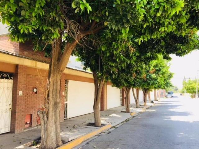 Departamento en renta Torreón Centro, Torreón